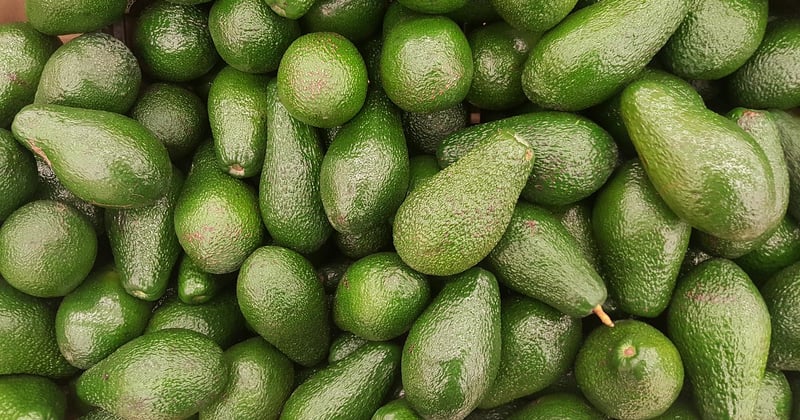 Ist Avocado ein Obst oder Gemüse? Die überraschende Antwort