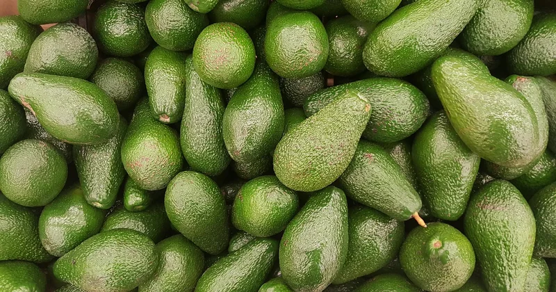 Was sagt die Küche? Im Alltag ist sie Gemüse
