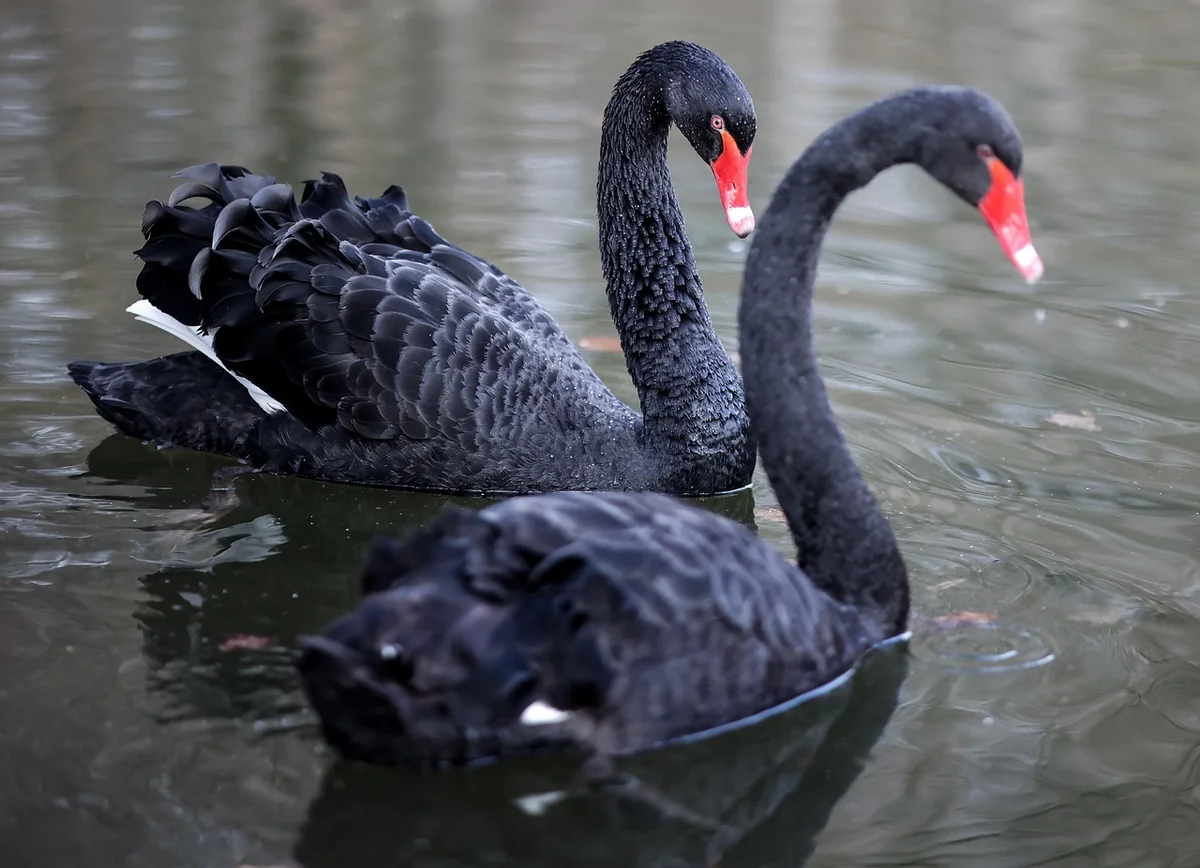 Red Flags in der Kennenlernphase: der schmale Grat